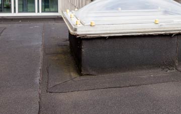 disadvantages of Tre Vaughan flat roofs