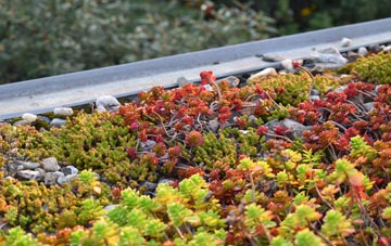 the cost of Tre Vaughan green roof installation